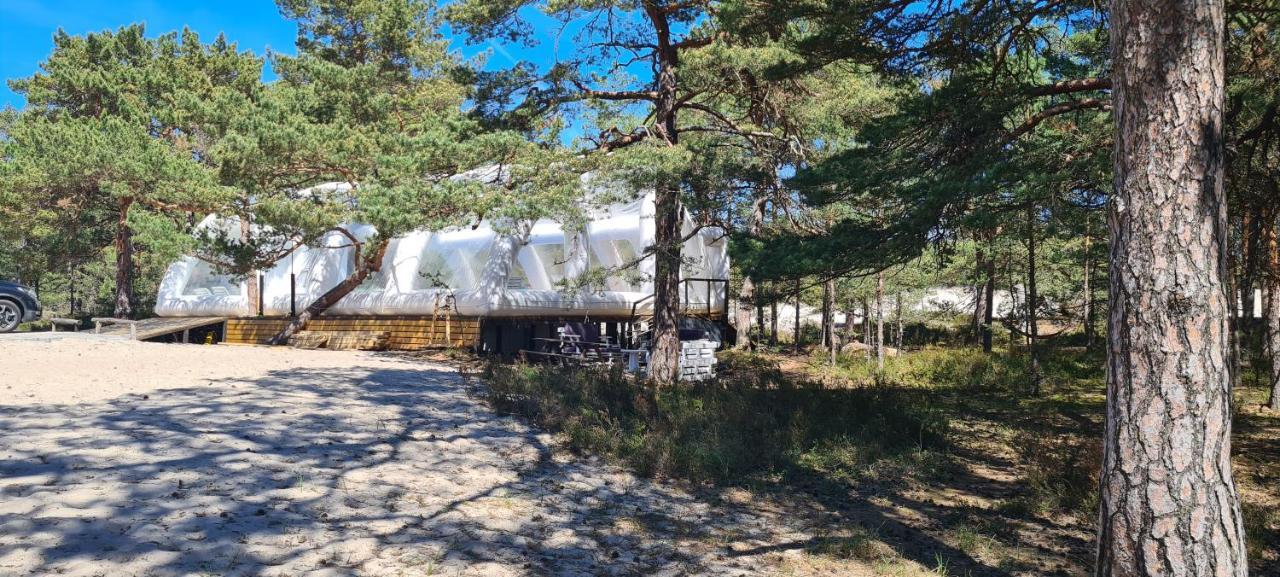 Sub Hel. Budzetowe Pokoje W Domu Z Basenem. Wokol Domu Tylko Natura. Balkon Zbyteczny. Dış mekan fotoğraf